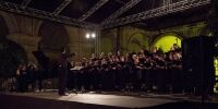 TNCS at the Malta Arts Festival 2013 - Photo by Elisa von Brockdorff